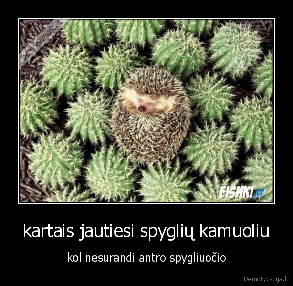kartais jautiesi spyglių kamuoliu