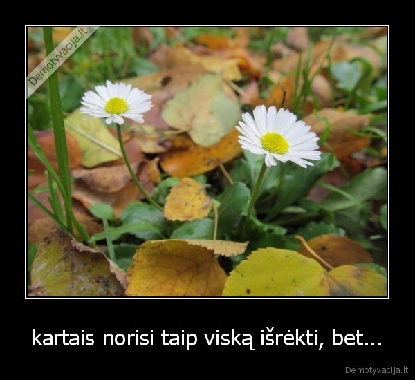 kartais norisi taip viską išrėkti, bet...