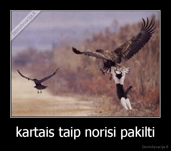 kartais taip norisi pakilti