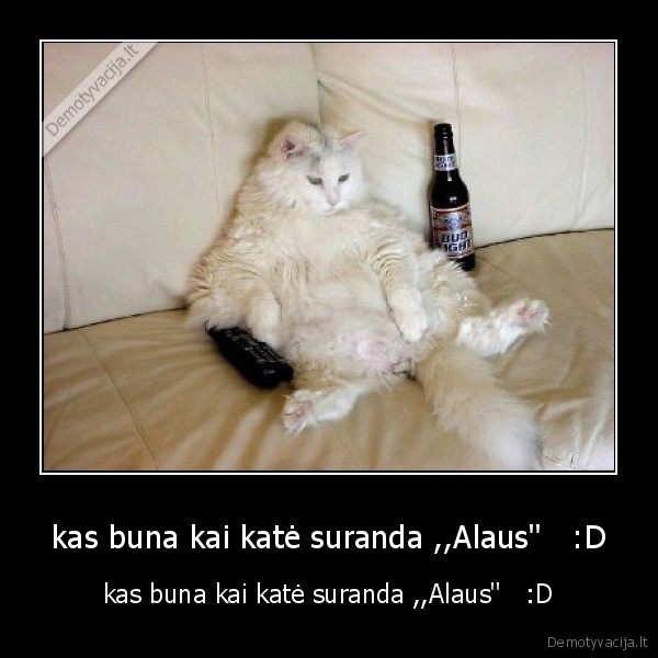 kas buna kai katė suranda ,,Alaus''   :D