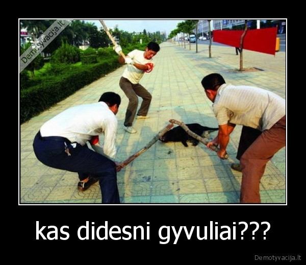 sunys,maistas,ziaurumas