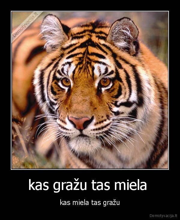 kas gražu tas miela 