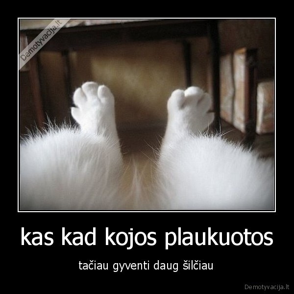 kas kad kojos plaukuotos