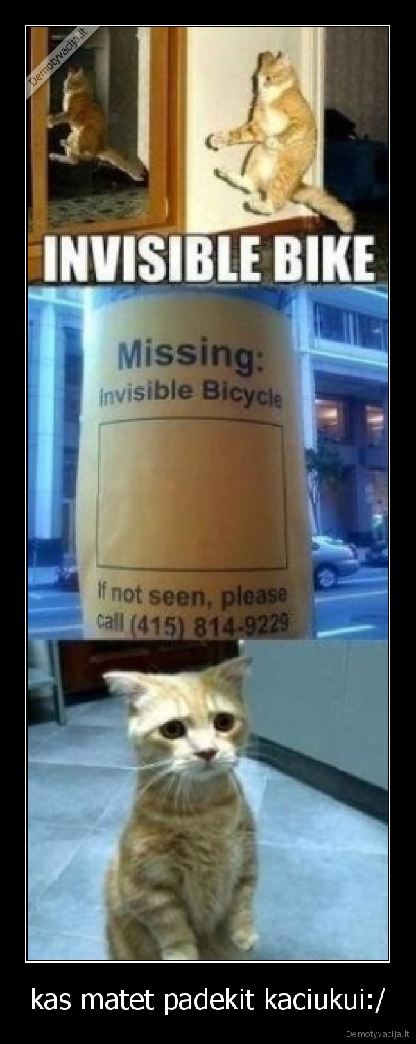 kas matet padekit kaciukui:/