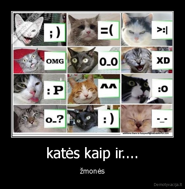kates,zmones,emocijos