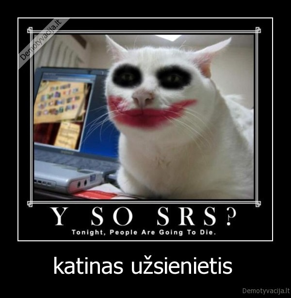 katinas, batman, dark, knight, jocker, katinas, gejus