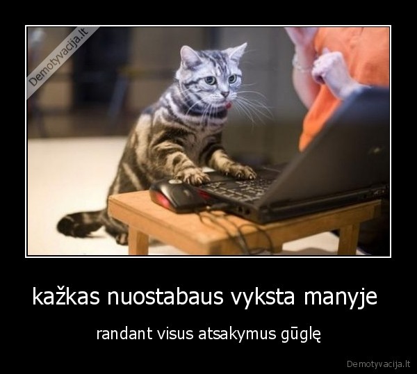 kažkas nuostabaus vyksta manyje 