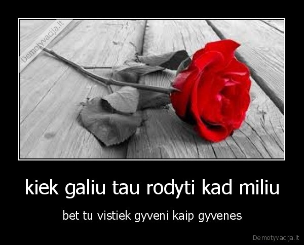 kiek galiu tau rodyti kad miliu