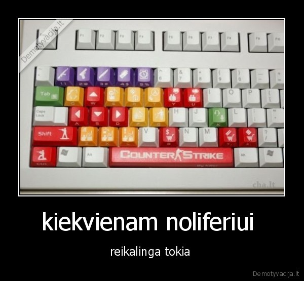 kiekvienam noliferiui 