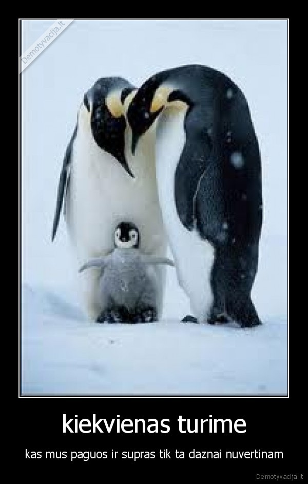 kiekvienas turime