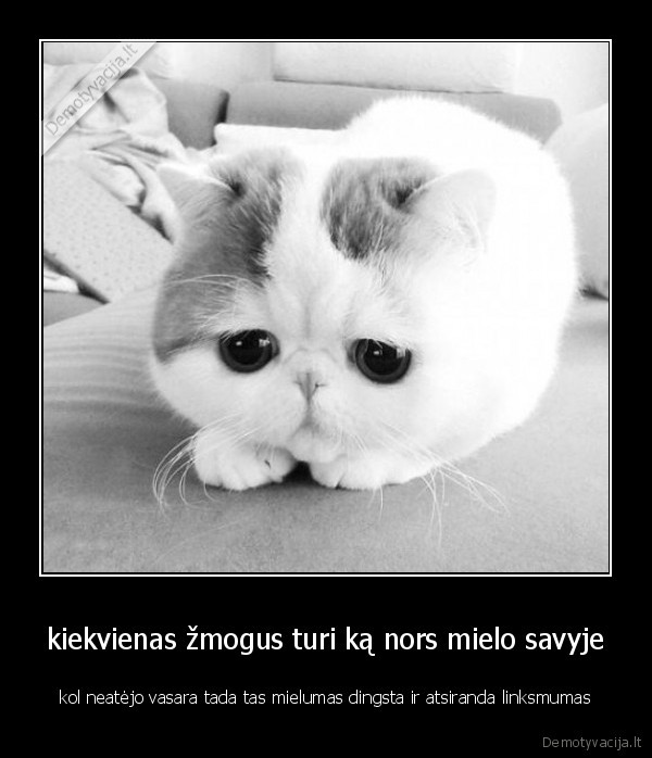 kiekvienas žmogus turi ką nors mielo savyje