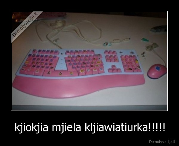 kjiokjia mjiela kljiawiatiurka!!!!!