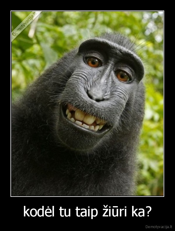 kodėl tu taip žiūri ka?