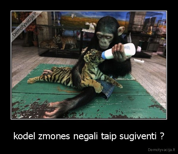 kodel zmones negali taip sugiventi ?