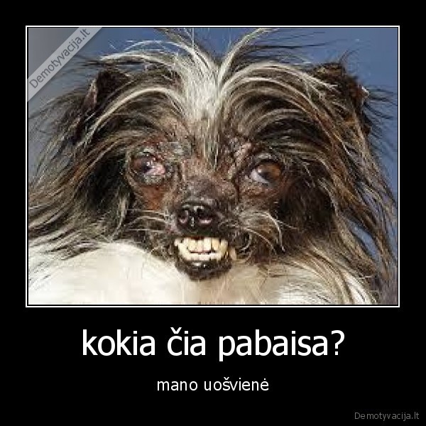 lol,pabaisa,uosviene