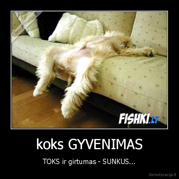koks GYVENIMAS