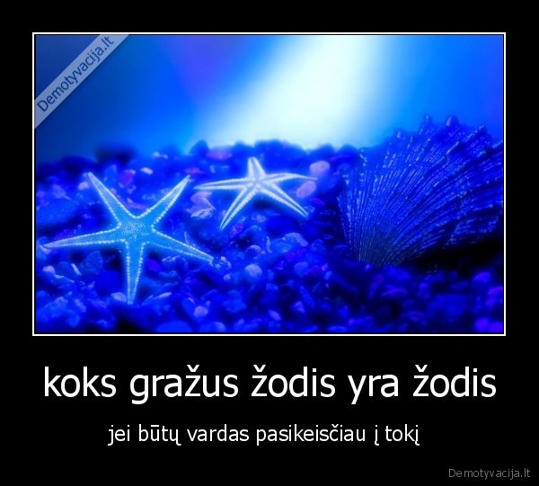 koks gražus žodis yra žodis