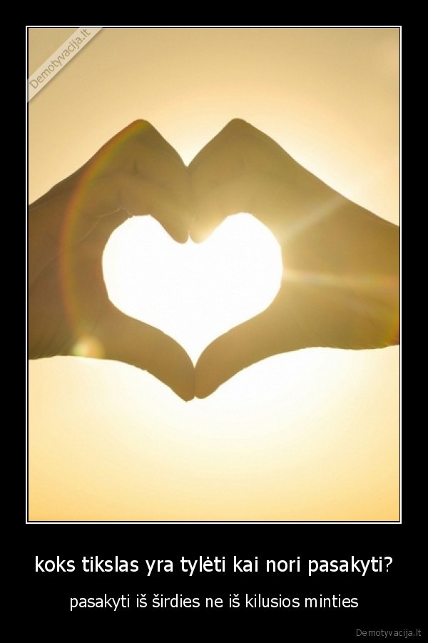 koks tikslas yra tylėti kai nori pasakyti?