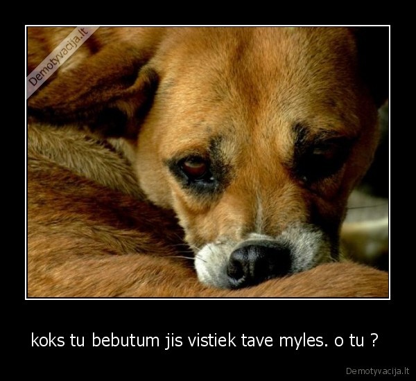 koks, tu, bebutum