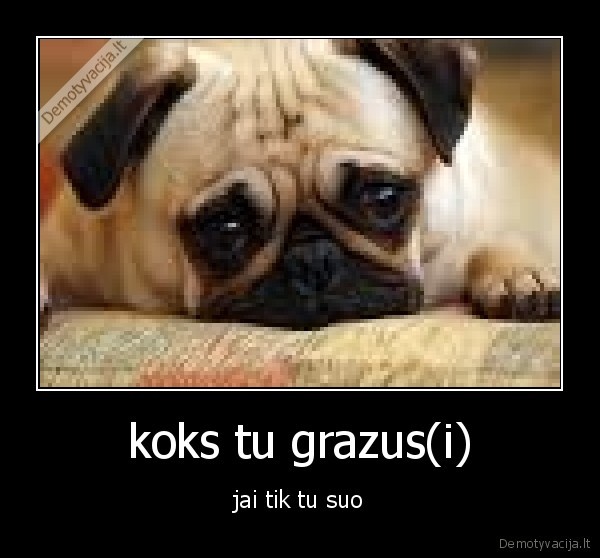 koks tu grazus(i)