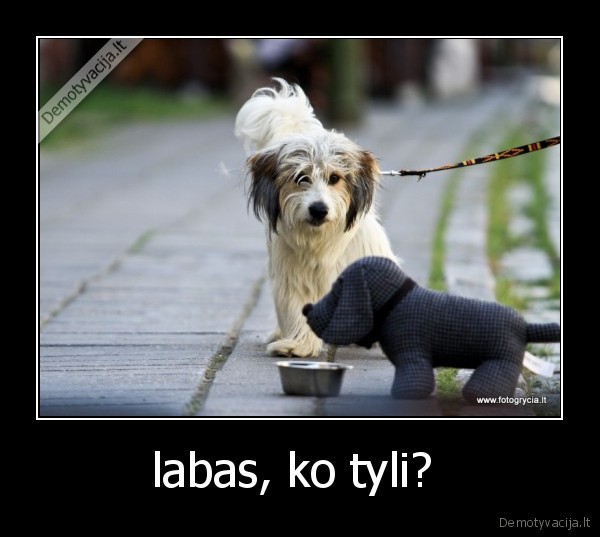 labas, ko tyli? 