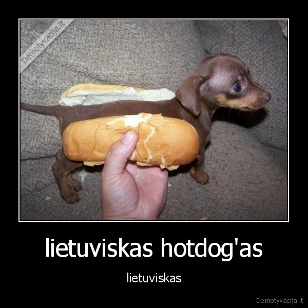 lietuviskas hotdog'as