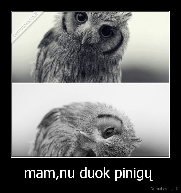 mam,nu duok pinigų 