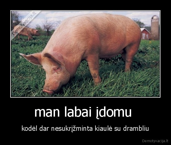 man labai įdomu 