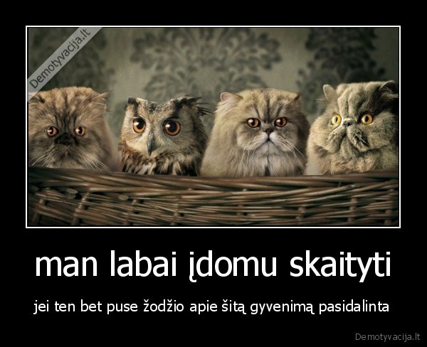 man labai įdomu skaityti