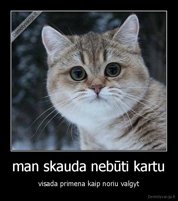 man skauda nebūti kartu