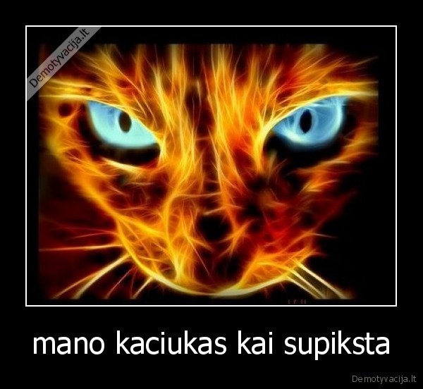 mano kaciukas kai supiksta