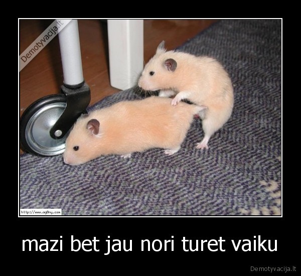 mazi bet jau nori turet vaiku