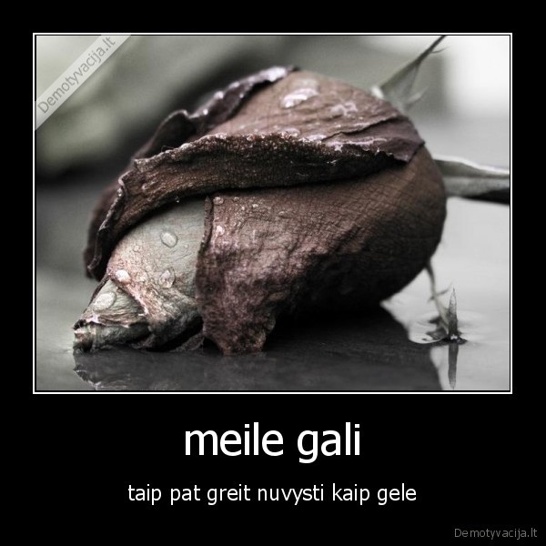 meile,gele