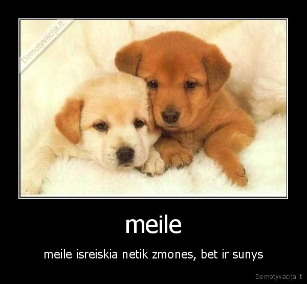 meile
