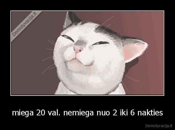 miega 20 val. nemiega nuo 2 iki 6 nakties