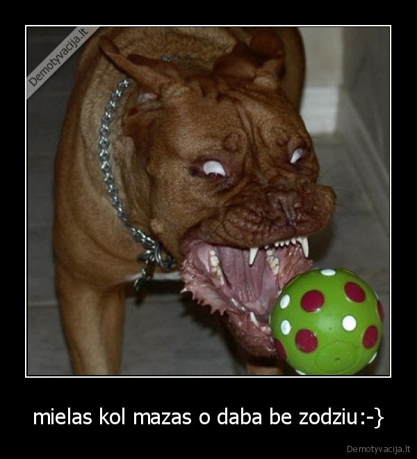 mielas kol mazas o daba be zodziu:-}