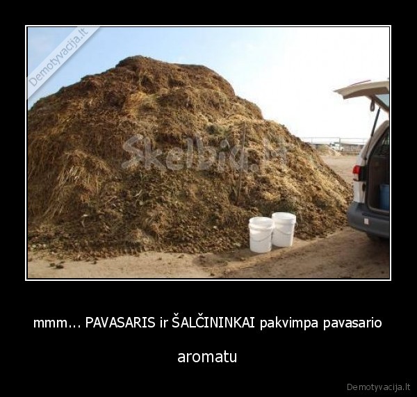 mmm... PAVASARIS ir ŠALČININKAI pakvimpa pavasario