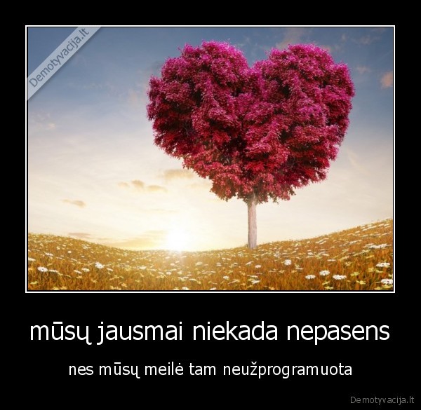 mūsų jausmai niekada nepasens