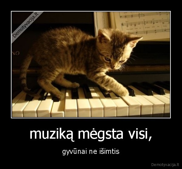 muzika,gyvunai,music