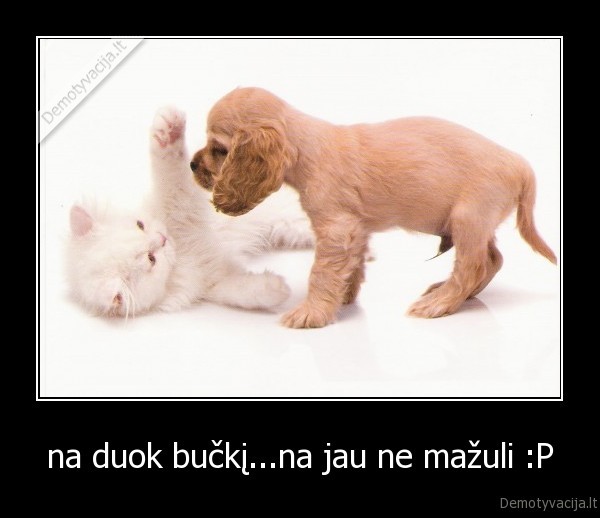 na duok bučkį...na jau ne mažuli :P