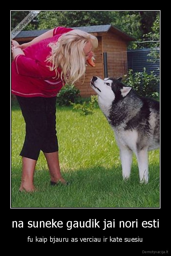 na suneke gaudik jai nori esti