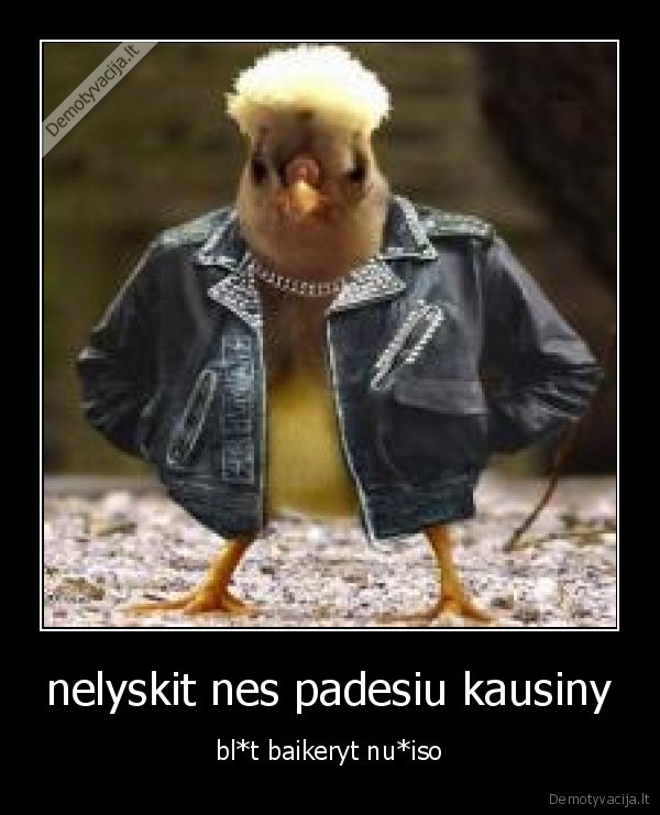 visciukas, baikeristas