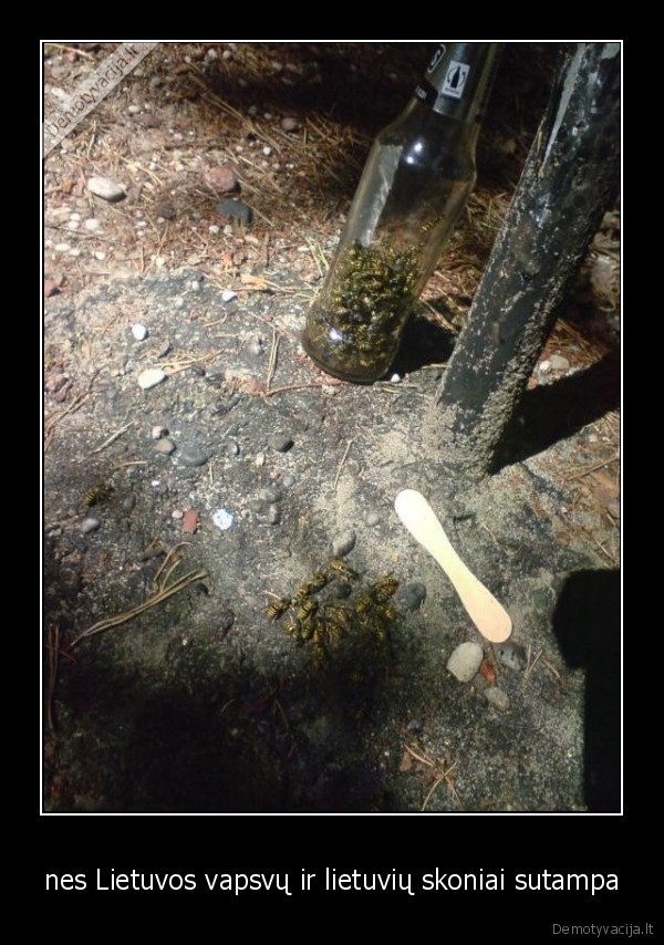 nes Lietuvos vapsvų ir lietuvių skoniai sutampa