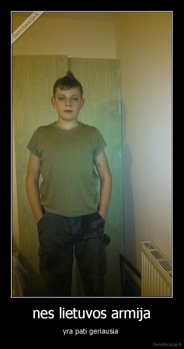 nes lietuvos armija