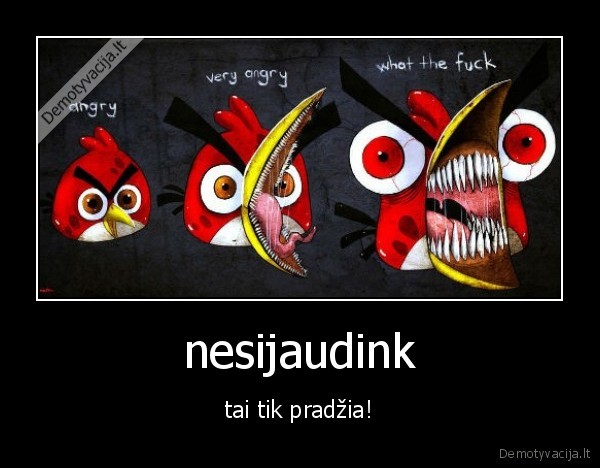 angry, birds,pradzia
