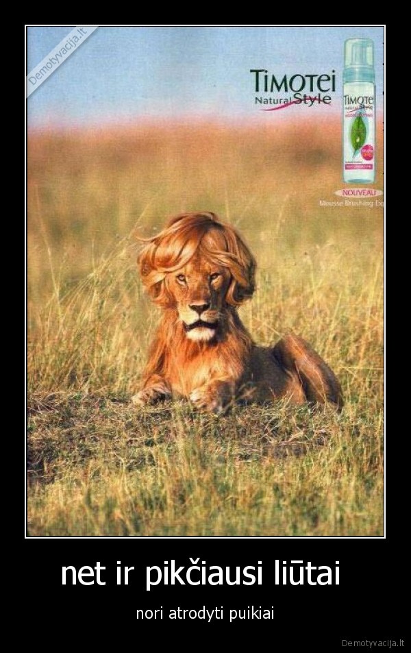 net ir pikčiausi liūtai 