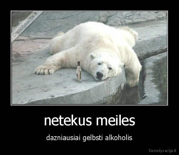 a,drunk,bear