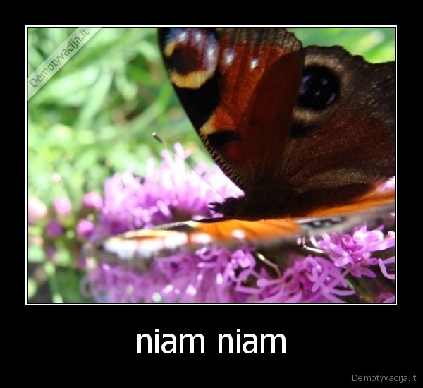 pramogos, vaikai, svente, darbas, neprivaloma