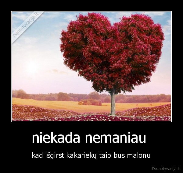 niekada nemaniau 