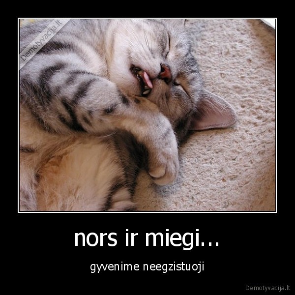 nors ir miegi...